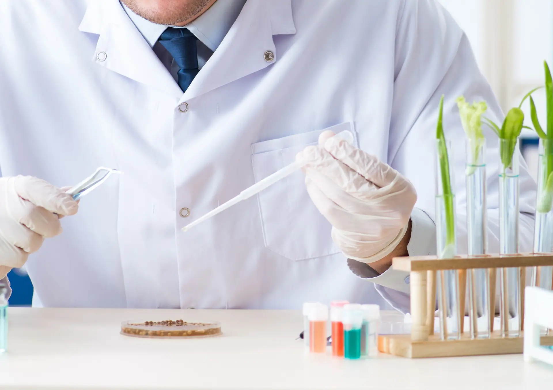 Product development and formulation